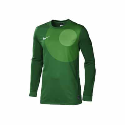 Bluza NIKE GOALIE IV LS
